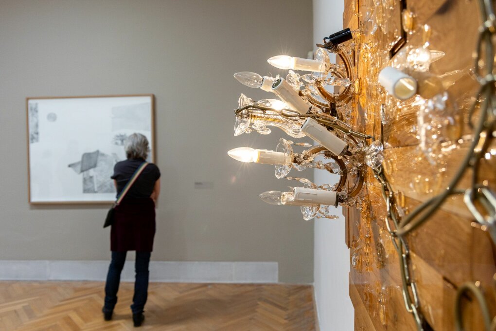 Uncertain Domesticities & Viscera Domus